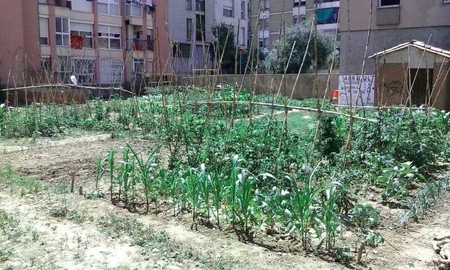 L’èxit de l’Hort Social i Comunitari d’Àngel Guimerà fa que se’n prepari un altre a Pep Ventura