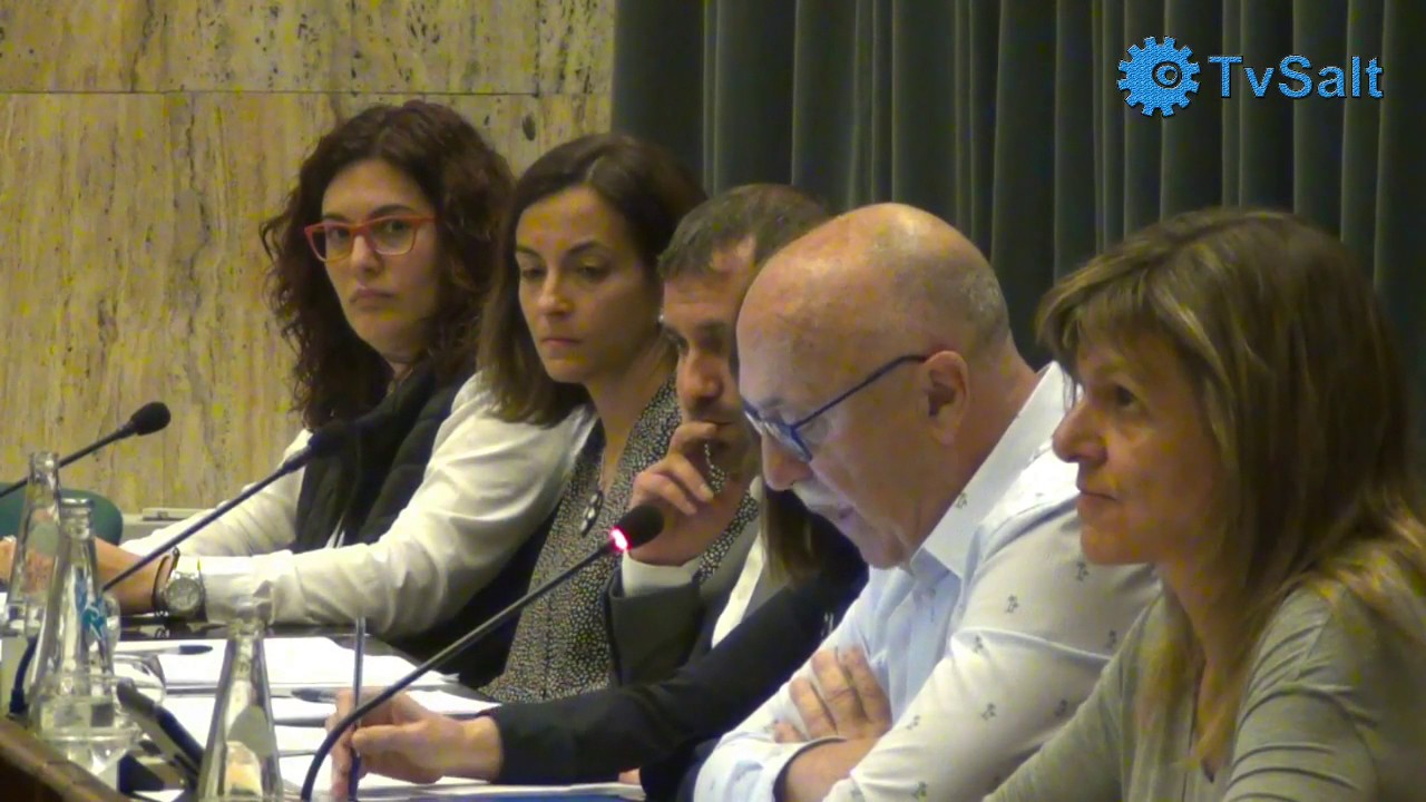 Vídeo Ple Ordinari de Salt del dia 24 d’abril de 2017