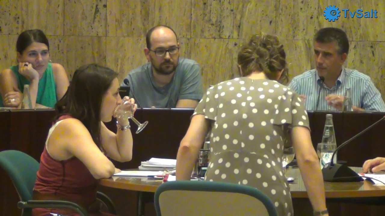 Video del Ple Ordinari del dia 17 de juliol de 2017