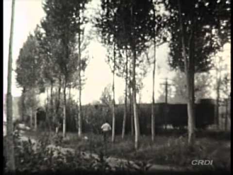 Pàgina necrològica : crònica del darrer viatge del tren d’Olot…