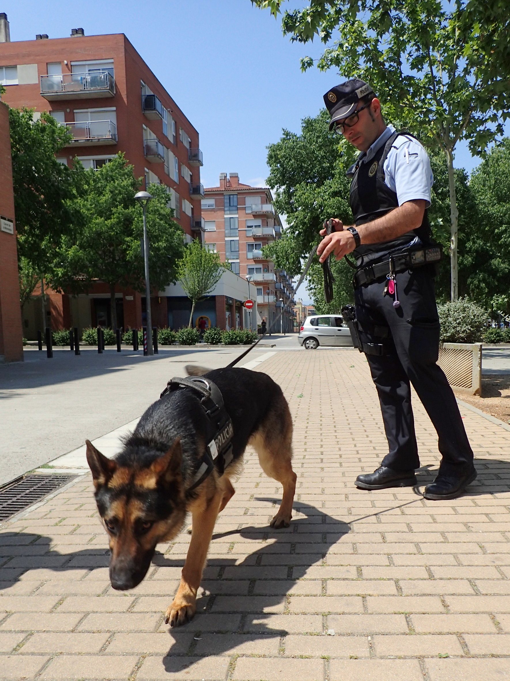 La policia local de Salt amplia la unitat canina