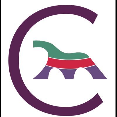 Canviem Salt acusa a l’equip de govern de no voler deixar participar a la ciutadania als plens municipals