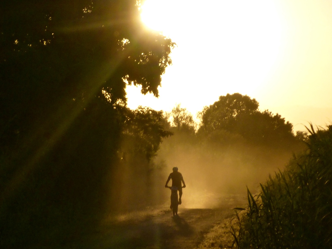 Més de 300 ciclistes prendran part de la sisena edició de la Ter Bike Experience