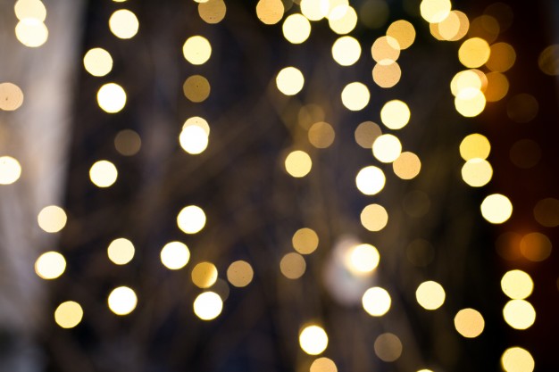 Encesa de llums i Mercat de Nadal a Salt