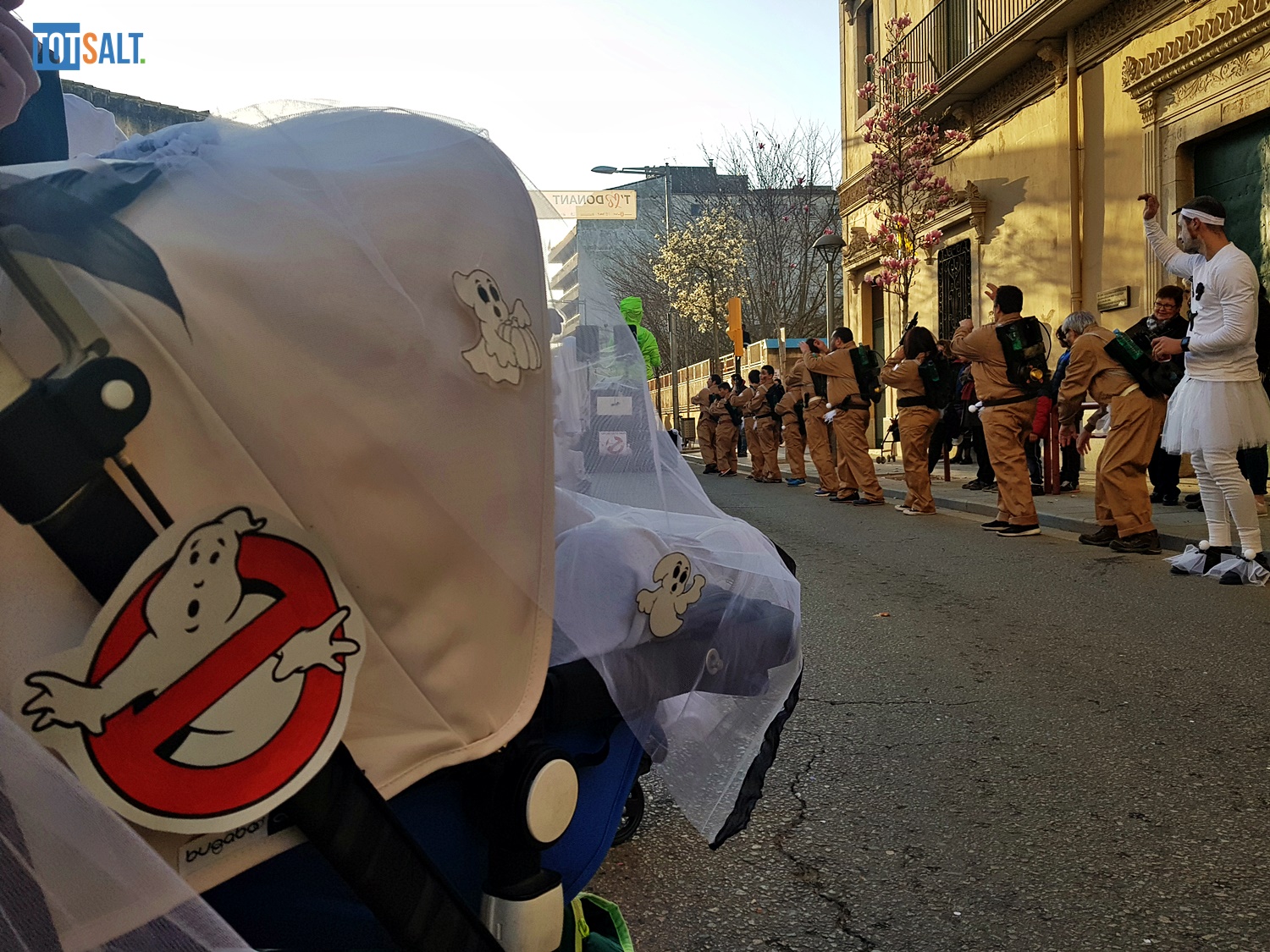 Galeria d’imatges del Carnestoltes a Salt 2019