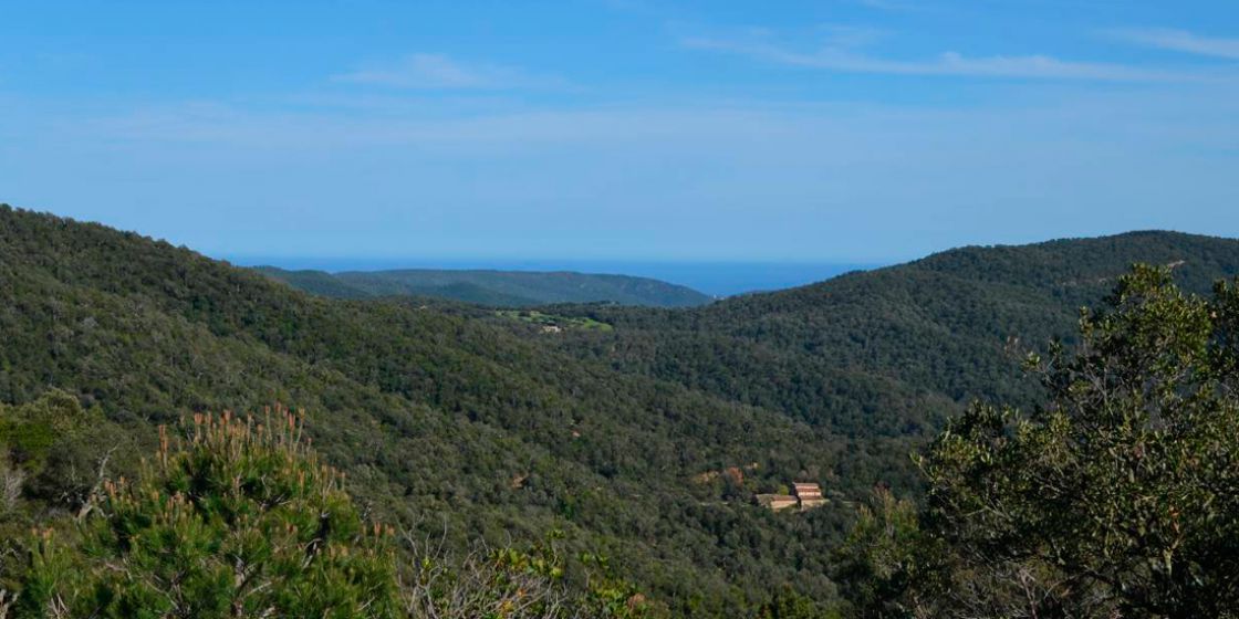 Es restringeixen els accessos a tres massissos més: Gavarres, Montserrat i Cadiretes i es prohibeix la sega a tot el territori