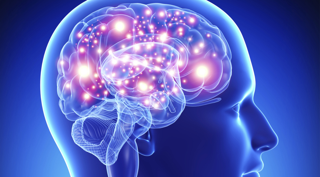La Unitat d’Esclerosi Múltiple ha diagnosticat 105 pacients nous a Salt