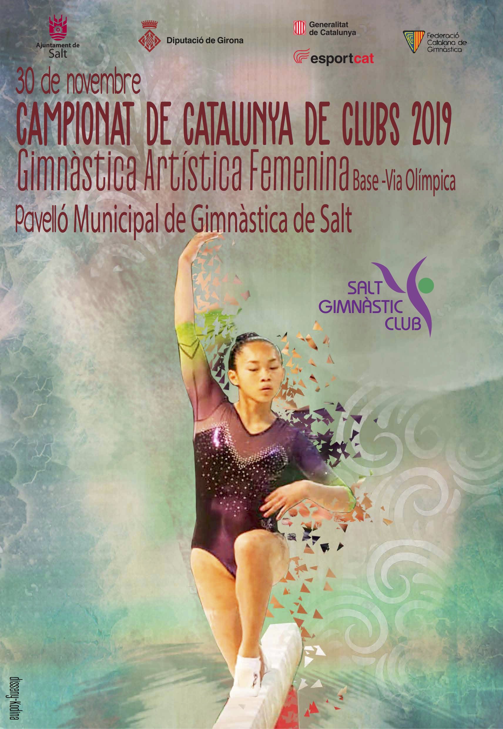 Campionat de Catalunya de Clubs de gimnàstica artística a Salt
