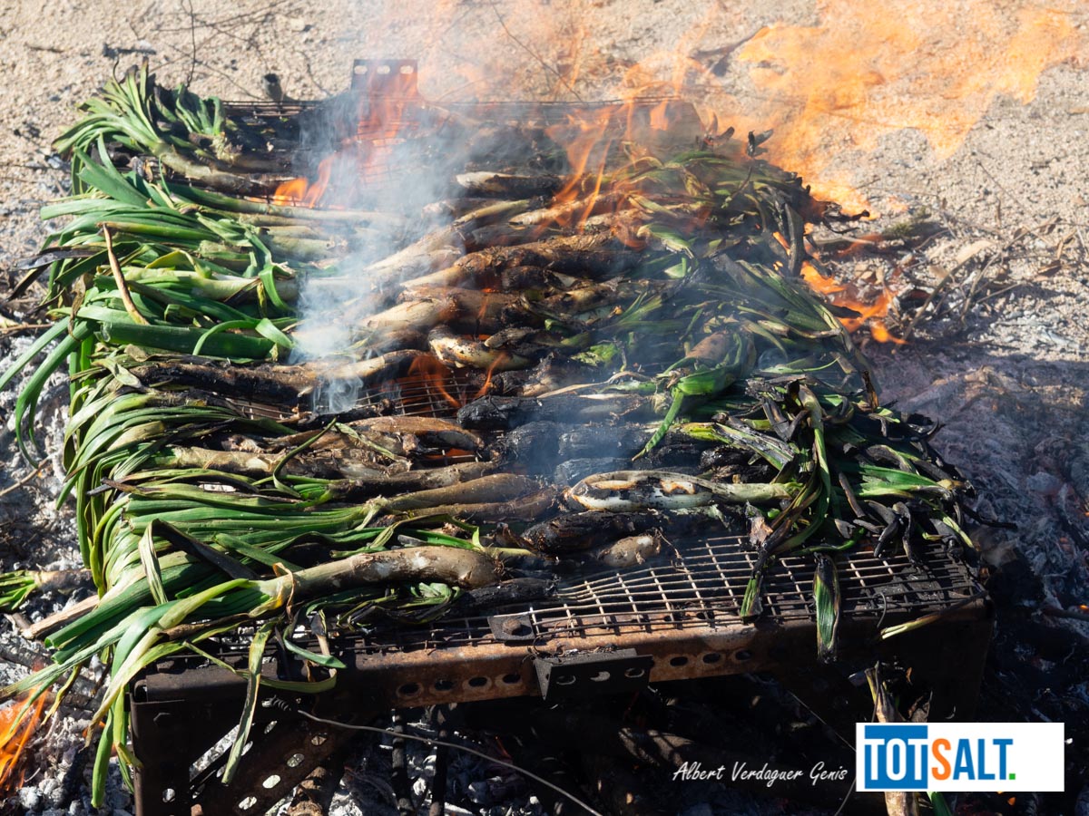 Fotos de la Calçotada de Salt
