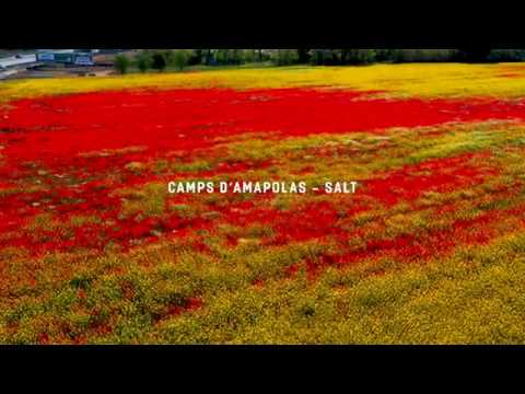 Camps de Roselles de Salt-Girona