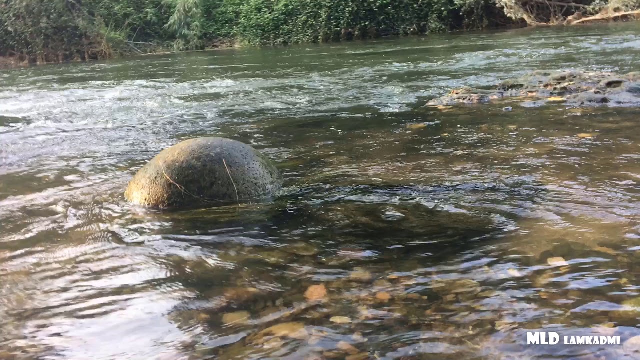 Salt i la seva natura [VÍDEO]