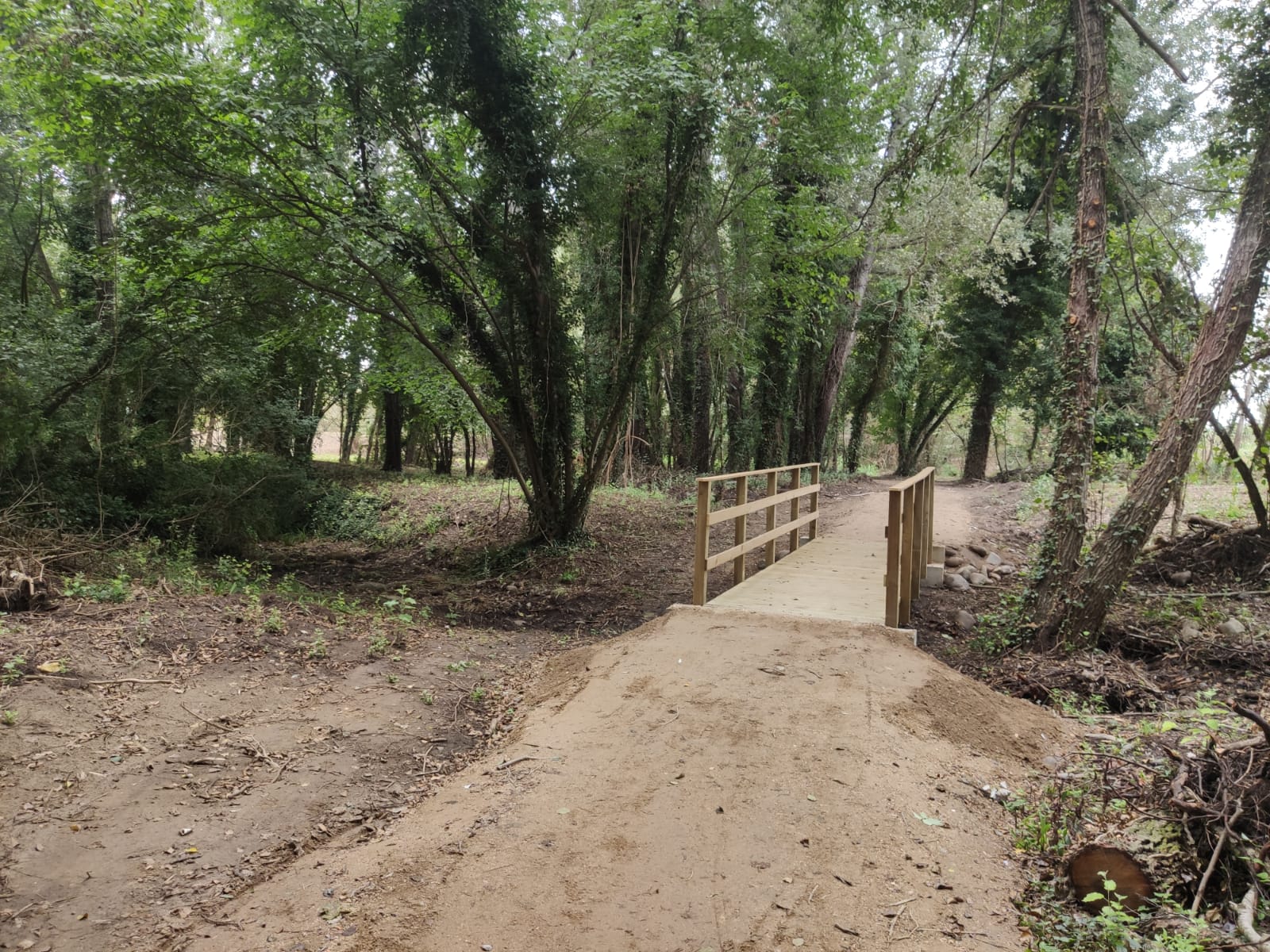 El camí del Ter Petit