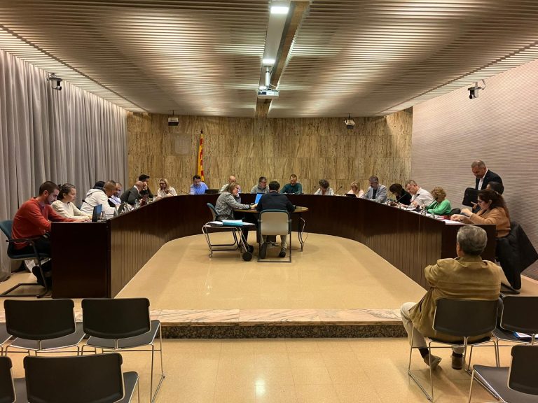 Un ple de més de 4h: Ple 17 de març de 2025