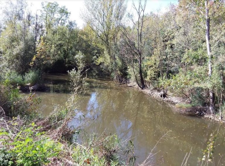 Nestlé i Consorci del Ter: Aliança per la Biodiversitat del Riu Ter