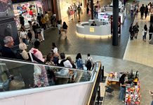 L’Espai Gironès regala packs de Magma per Sant Jordi