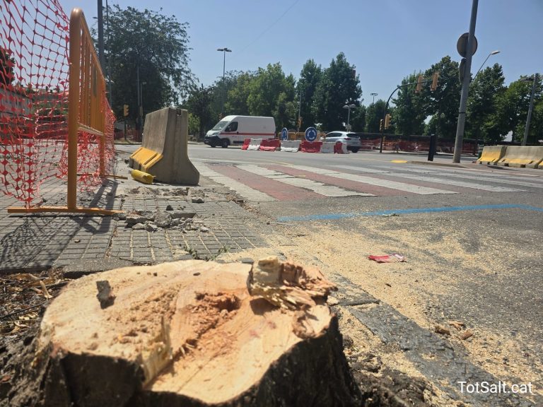 Desforestació a Salt