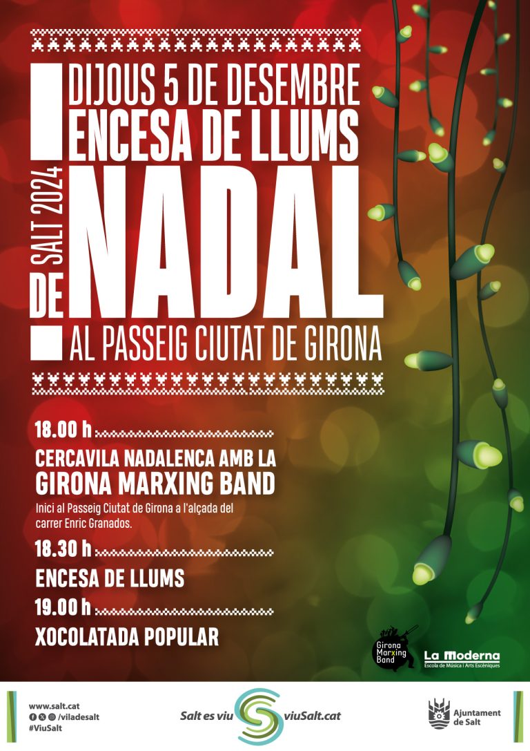 Encesa de Llums de Nadal a Salt