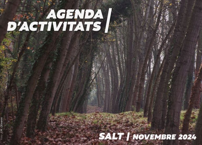 Agenda Novembre Salt 2024