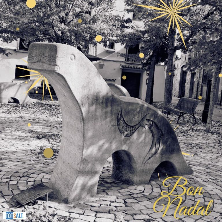 Bon Nadal i Festes, Saltenques i Saltencs!