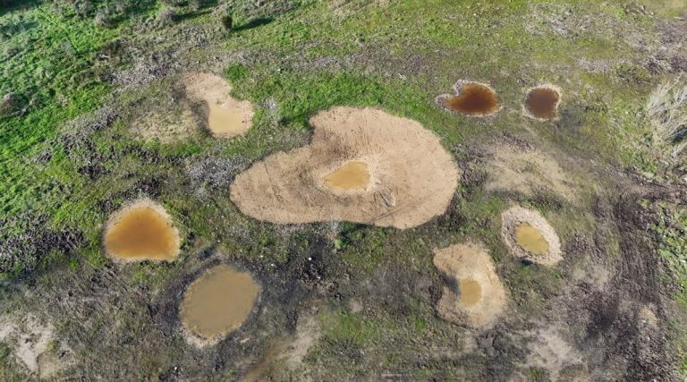 Creen 8 basses temporànies a les «Deveses d’en Bru», hàbitat d’amfibis, rèptils i invertebrats autòctons