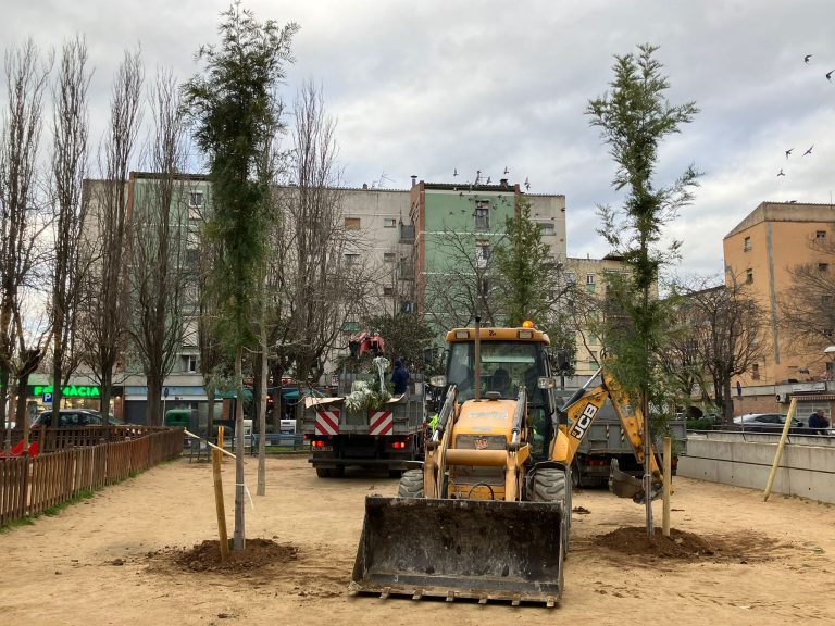 Salt planta 84 arbres amb una inversió de 20.000 euros