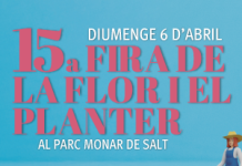 https://totsalt.cat/fira-de-la-flor-i-el-planter-2025/