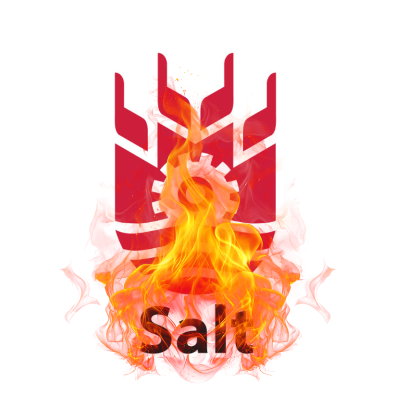 Desnonats, indignats, oportunistes i Salt en flames