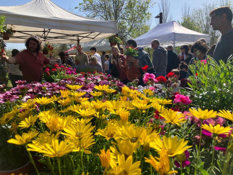 Salt torna a florir amb la Fira de la Flor i el Planter al Parc Monar