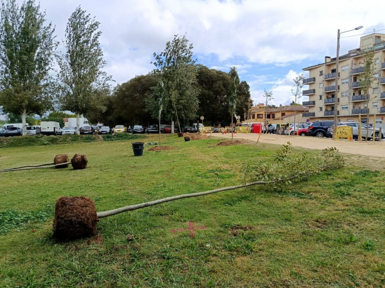 L’Ajuntament de Salt planta 163 nous arbres al parc Monar per convertir-lo en un nou refugi climàtic natural