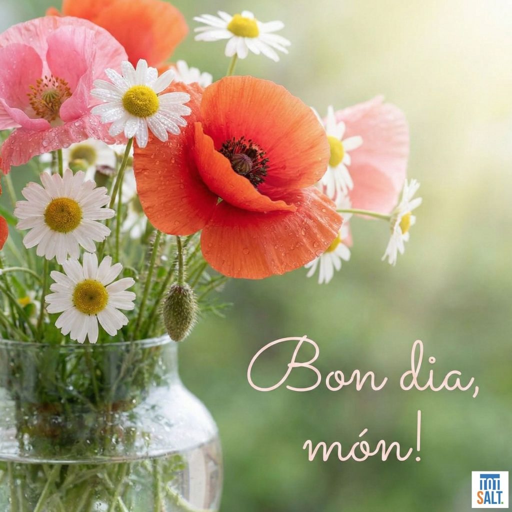bon dia imatges noves