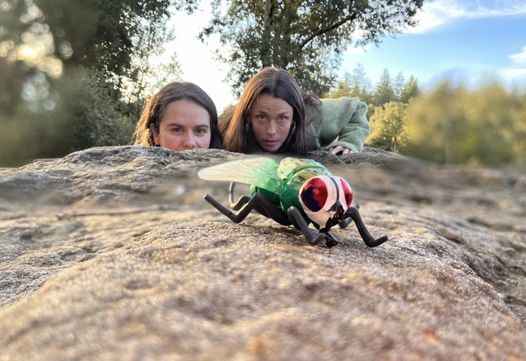Mostra del procés creatiu de «Tota una vida o l’èpica d’una mosca» de Campi qui pugui