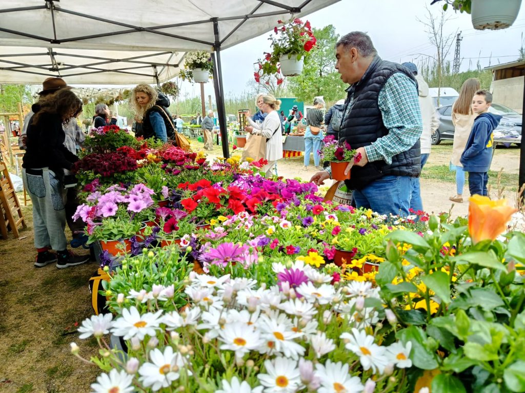 Visitants davant les parades de flors i plantes a la Fira de la Flor i el Planter de Salt